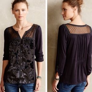 NWOT Anthro top with gorgeous lace and velvet!